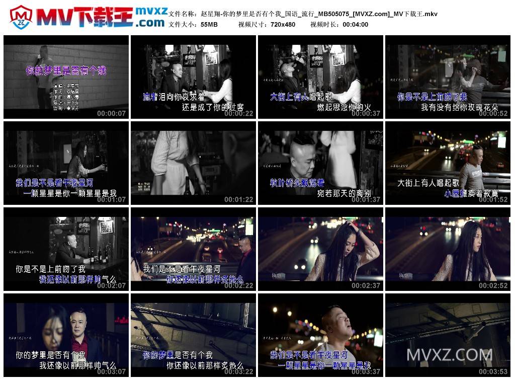 赵星翔-你的梦里是否有个我_国语_流行_MB505075